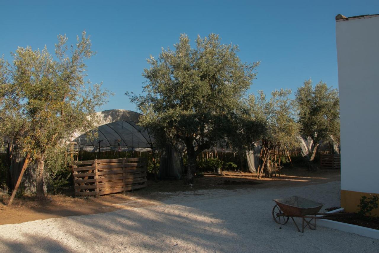 Quinta De Santana Da Varzea Abrantes Kültér fotó