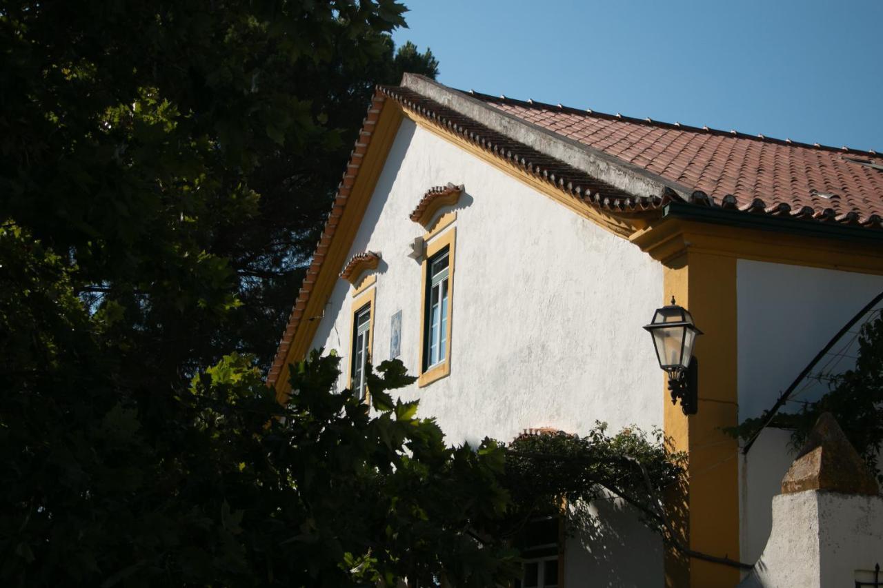 Quinta De Santana Da Varzea Abrantes Kültér fotó
