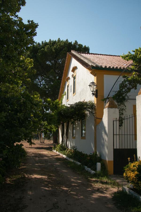 Quinta De Santana Da Varzea Abrantes Kültér fotó