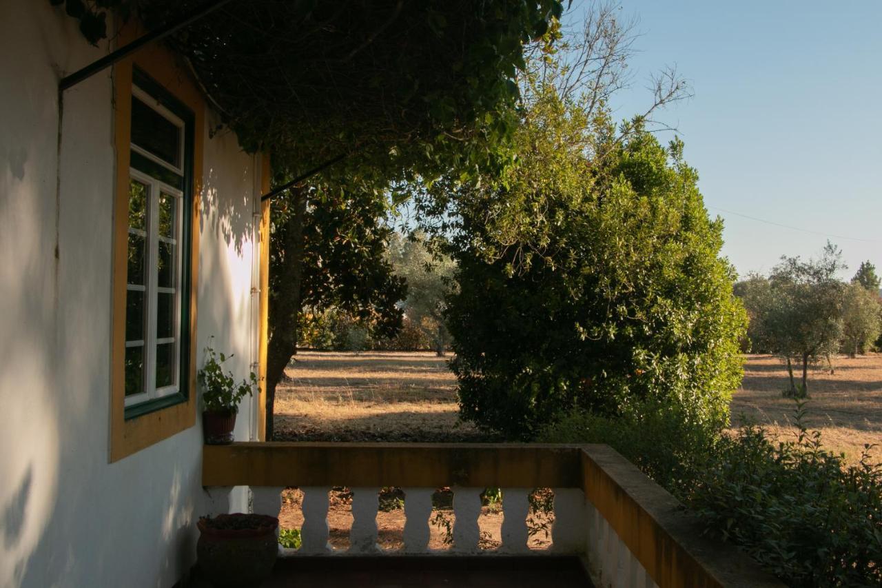Quinta De Santana Da Varzea Abrantes Kültér fotó