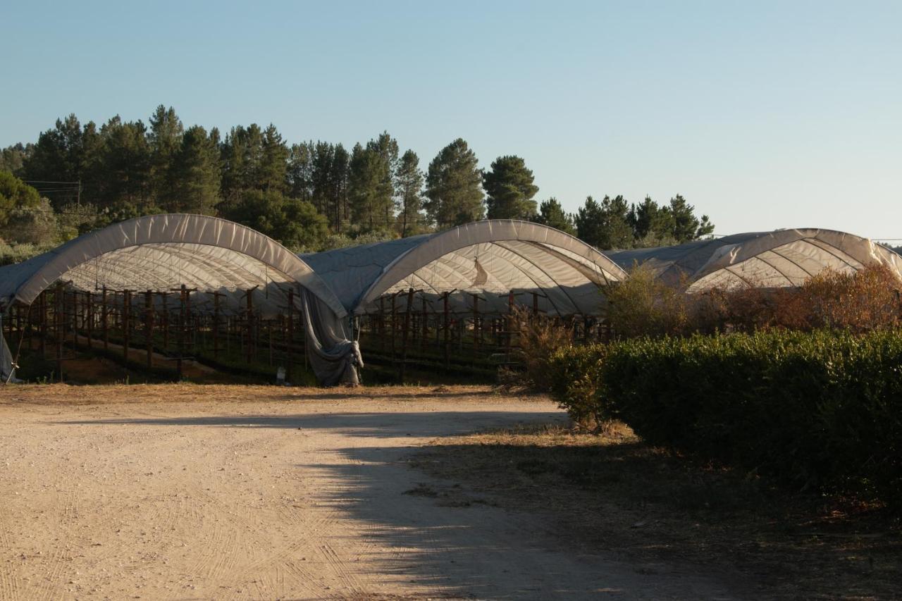 Quinta De Santana Da Varzea Abrantes Kültér fotó