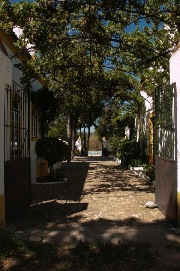 Quinta De Santana Da Varzea Abrantes Kültér fotó