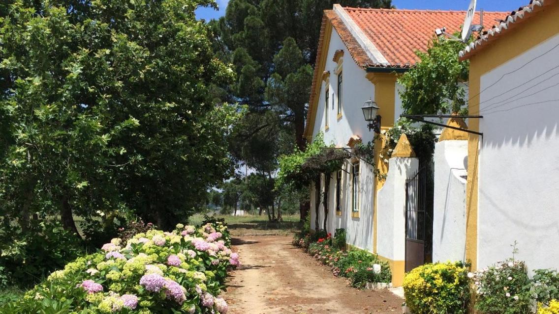 Quinta De Santana Da Varzea Abrantes Kültér fotó